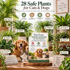Pet-Safe Indoor Gardening Guide