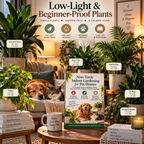 Pet-Safe Indoor Gardening Guide
