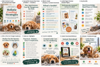 Holistic Cooling Strategies for Indoor Pets — Complete Heat-Safety Guide